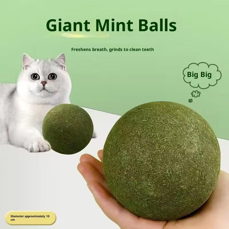 Bola de Catnip Extra Grande 10 cm Jumbo Gigante Fruta de Catnip Juguete Para Aliento Fresco Juguete para Gatos Suministros para el Cuidado de Gatos en Casa Palo Divertido Sisal Campana