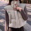 Women's Thick Warm Vest Autumn Winter Zipper Closure Loose Jacket with Pockets Windproof Stand-Up Collar Gilet for Daily Wear Dating Street Office
