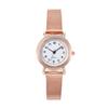 Ladies Mesh Strap Small Dial Casual Fashion Quartz Watch Junior High School Student Simple Watch