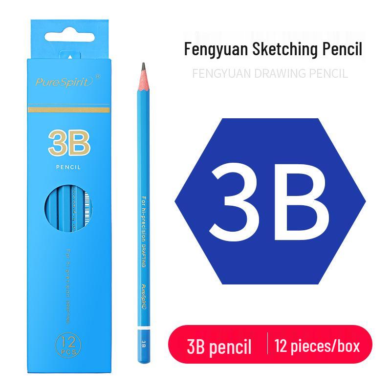 Charcoal Sketching Pencils Set: Soft/Medium/Hard (2B, 4B, 6B, 8B, 10B, 12B, 14B) for Students & Artists
