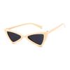 Vintage Cat Eye Women Sunglasses Triangle Frame Ladies Fashion Sun Glasses Cute Designer Eyewear