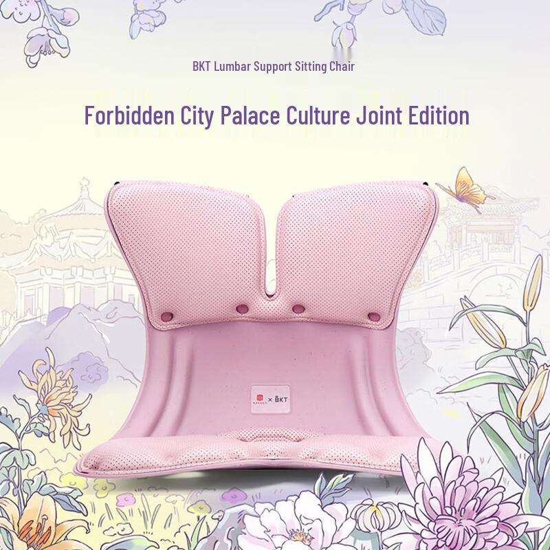 BKT Ergonomic Lumbar Support Chair Cushion