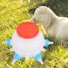 13 Pcs Set 6 Nipples Lamb Milk Bottle 2.6 Quart Nursing Milk Feeder Piglet Feeder Bottle  Lambs