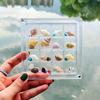 16-Grid Acrylic Seashell & Jewelry Display Box with Strong Magnetic Closure
