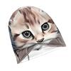 These Cat-Themed Headphones And Stylish Knit Hat for Adults Are Perfectly Designed To Complement Daily Outfits, Making Them Ideal for Strolls In The C