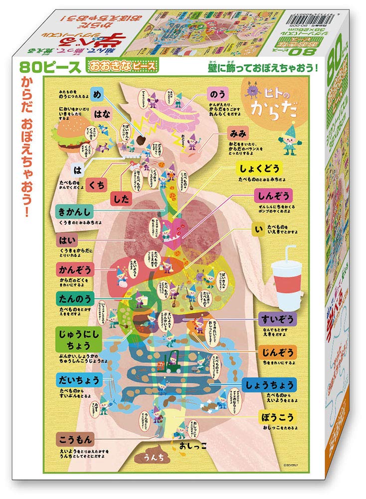 в Beverly Развивающая jigsaw-головоломка Learn Your [Сделано в Японии] Головоломка из 80 деталей, Сама головоломка! (26x38см) 80-005