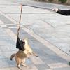 Bite Rag Dog Bite Rag Train Bite Grip Build Prey Drive Leather Interactive Tug of War with Handle for Dog Training