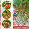 50/10 Pezzi Supporto per Piante in Plastica Telaio a Palo Serra Fioriera da Interno Staffa per Piante Clip per Addestramento Piegatura Piante Accessori da Giardino