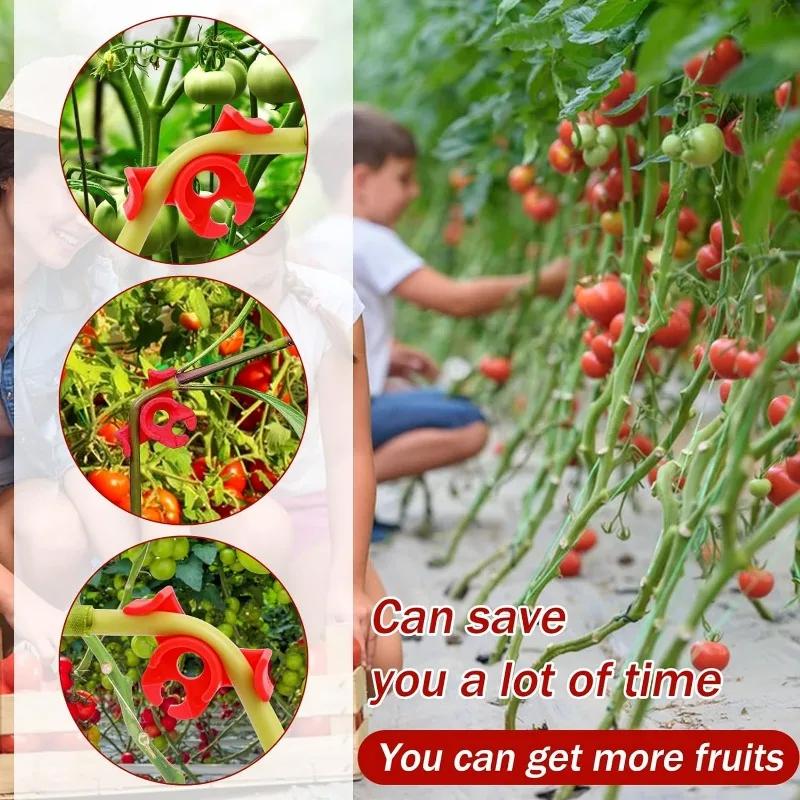 50/10 Pezzi Supporto per Piante in Plastica Telaio a Palo Serra Fioriera da Interno Staffa per Piante Clip per Addestramento Piegatura Piante Accessori da Giardino