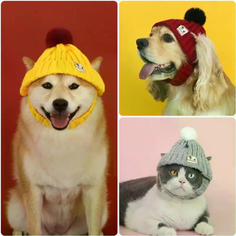 Chapeau Tricoté pour Chien d'Hiver Oreilles Découvertes Couvre-chef Coupe-vent Chaud Mode Bandeau pour Chat Automne Hiver Boule de Fourrure Accessoires de Déguisement pour Animaux