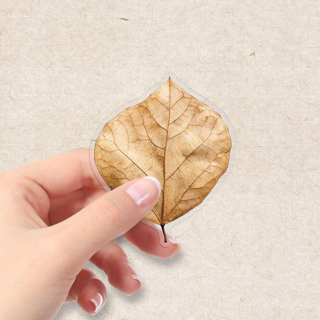 50PCS Realistic Transparent Autumn Leaf Stickers: Waterproof PET Tree Leaves for Decorating Cups and Journals.