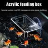 Fish Tank Feeding Ring Transparent Acrylic Rectangle Round Shape Aquarium Suspensible Feeder For Tank Floating Food Dispenser