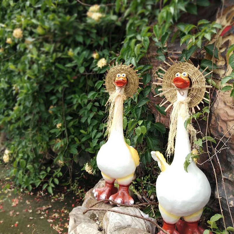 Resin Duck Pair Outdoor Garden Ornament