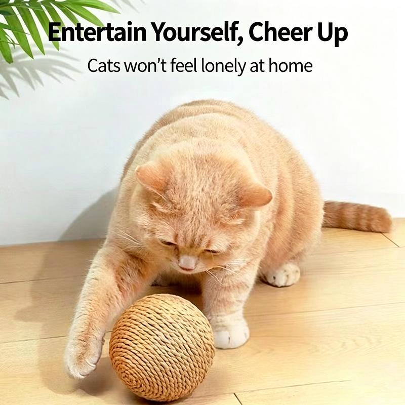 Interactive Ball In Sisal for Cat, Toy for Kitten, Teeth Cleaning, Anti-bite, 10 Cm, Super Large Sound Ball for Cat, Pet Accessories