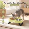 Stainless Steel Raised Pet Feeder Double Bowl Cat Feeding Dish Elevated Cat Bowl  For Cats