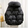 Plus Size Women's Winter Cotton-padded Coat Women's Fur Collar Loose Gloss Cotton-padded Coat