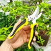 19cm Pruning Shears Professional Sharp Bypass Carbon Steel Cutter Clippers for Tree Branches Prune Garden Accessories