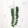 Simulation Spring Rain Leaves 1.8m Plastic Plants Vines Cafe Balcony Decoration Artificial Turtle Back Leaf Green Plant Vine