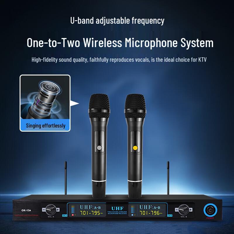 SAST Home KTV Karaoke Speaker System CN plug (adapter included)