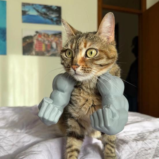 Cat Muscle Arm Costume 3D Printed Cat Neck Arm with Muscle Funny Cat Neck Hanging Decoration Halloween Birthday Party Supplies