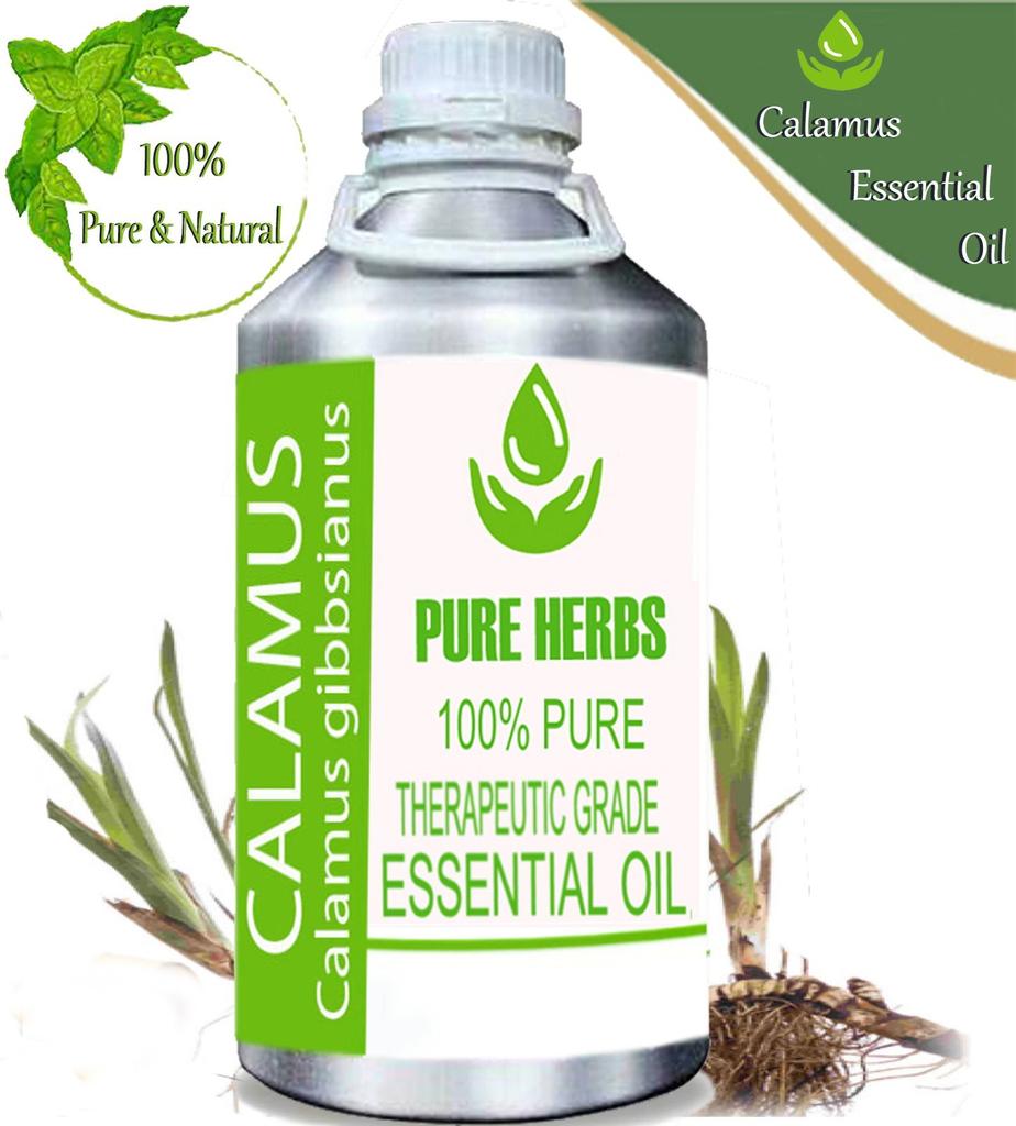 Pure Herbs Calamus 100% Pure & Natural Calamus Gibbsianus Essential Oil