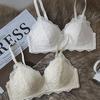 [Hot-selling In the Store] New Sexy Lace Small-breasted Underwear Women's Thin Triangle Cup Without Steel Ring, Anti-hanging Upper Support