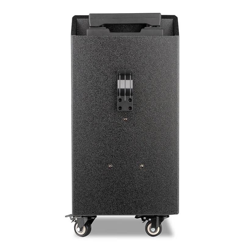 Shile 300W Outdoor Portable Karaoke Speaker