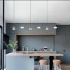 Modern Led Living Room Chandeliers Dining Table Ceiling Chandelier Kitchen Hanging Light Fixture Dimmable Indoor Lighting Lamp