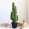 38-43CM Artificial Cactus Plants House Decoration Tropical Fake Succulent Greening Hotel Garden Party Home Decor Accessories