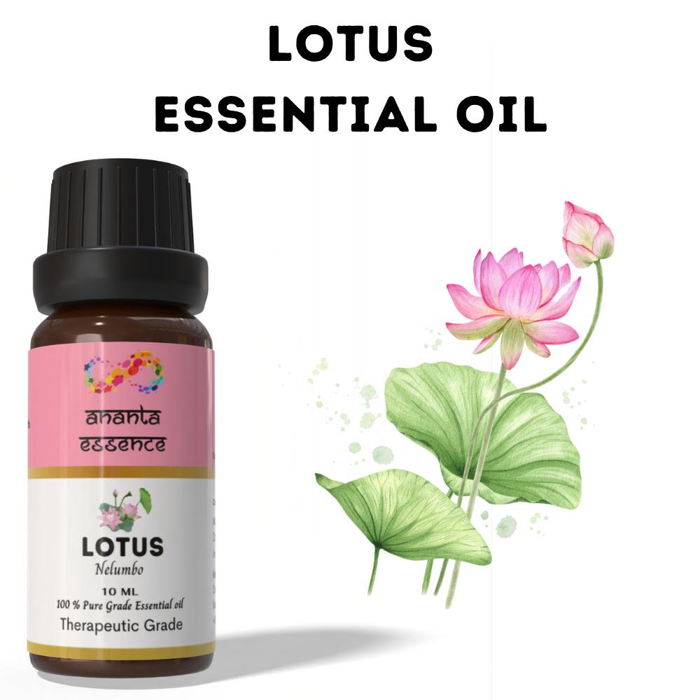 Ananta Lotus Essential Oil 10 Ml – Natural Floral Aroma Oil for Diffuser & Home Fragrance