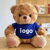 Teddy Bear Plush Toy with Cute Logo and School Emblem Design