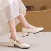 Mode Mary Jane Schuhe 2024 Neue Damen Frühling Sommer Blockabsätze für Damen Eckige Zehenpartie Elegant Mittelhoher Absatz Koreanisch Gold Silber Formeller Schuh