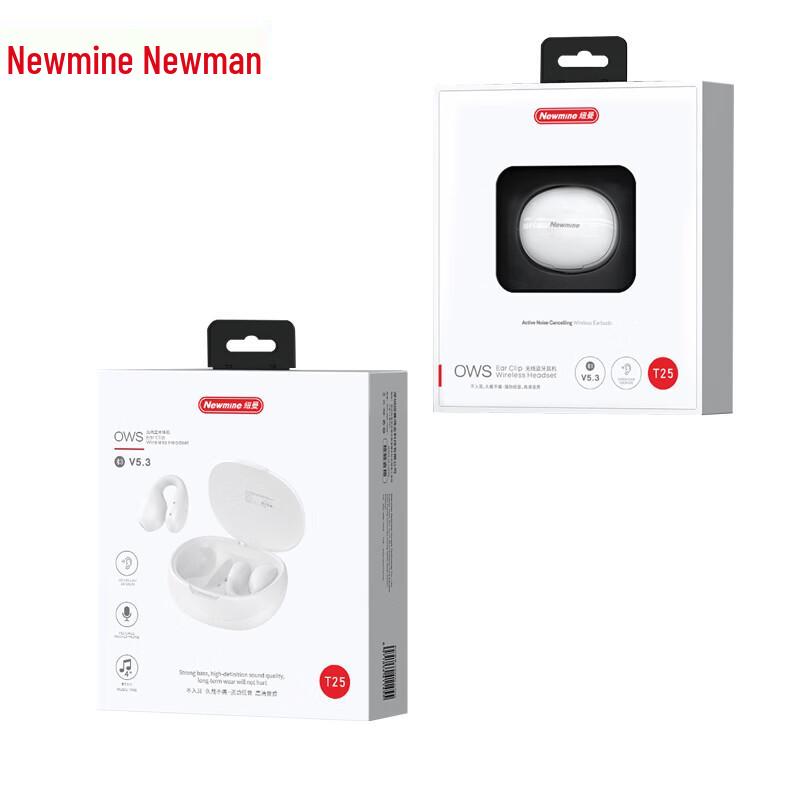 Newman TWS Open-Ear Ear-Hook Bluetooth Headset