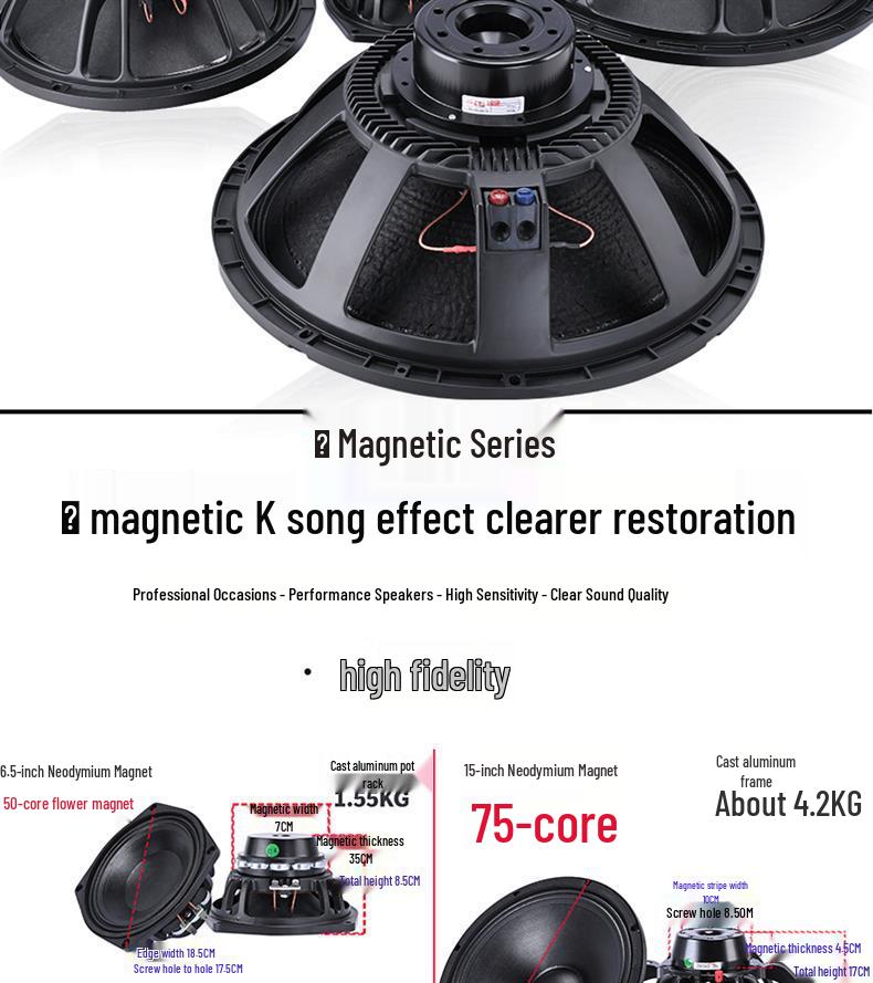 6.5-21 inch High-Power Mid-Bass Pro Stage Speaker with Neodymium Magnet