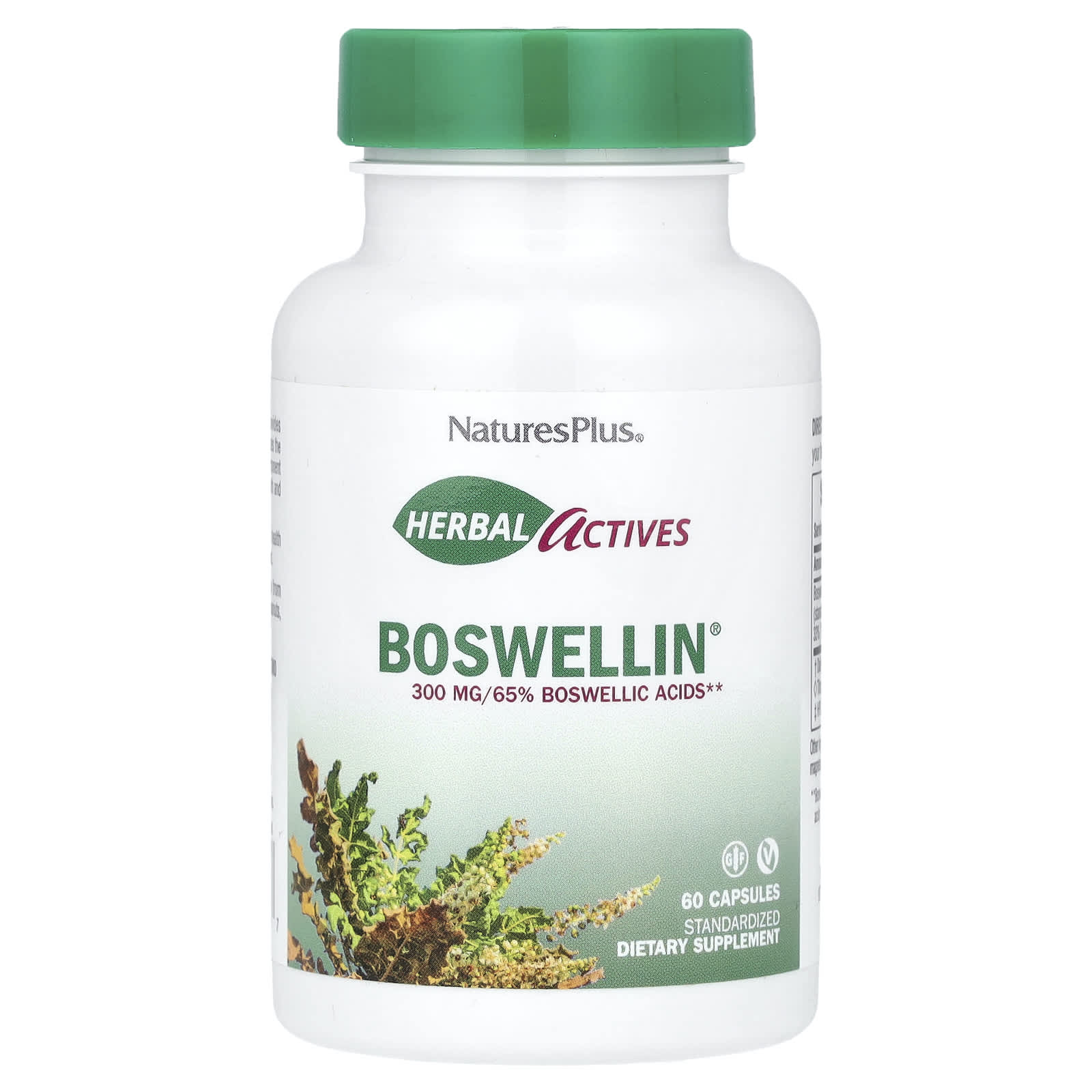 

Herb Active, Boswellin®, 300Mg, 60 Capsules