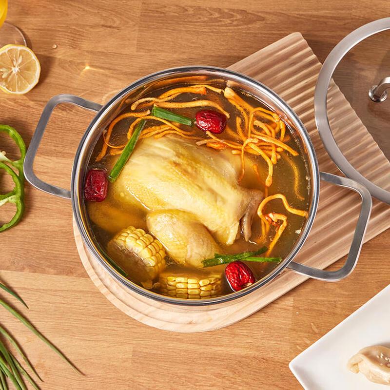 Zwilling Moment 20cm Deep Stewpot with Glass Lid