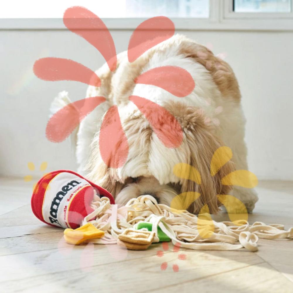 Dogs Snuffle Toy Noodle Shape Leaking Food Toy Dog Nosework Training Toy Treat Dispensing Toys for Small and Medium Dogs China Mainland