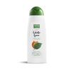 Phyto Nature Shampoo für fettiges Haar, 400 ml