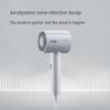 FLYCO FH6312 High-Speed Negative Ion Hair Dryer CN plug (adapter included)