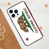 California Flag Phone Case For iPhone 17 Pro Max 14 11 15 16 Pro Max 13 12 mini 16 Plus 16e 17 Air Funda