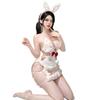 Bunny Girl Cosplay Lingerie: Sexy & Cute Anime-Inspired Nightclub Outfit