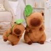 30/40/55cm Lustige Capybara Plüschtierpuppe Hält Lotusblatt Capybara Weiche Textur Plüschtier Heimdekoration Geburtstagsgeschenk Perfekt Für Jungen Und Mädchen