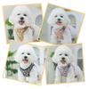Durable Large Dog Harness for Small Dogs No Pull Adjustable and Breathable Puppies Flower Vest