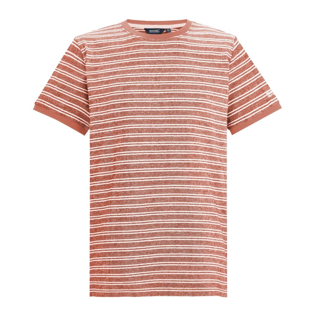 Regatta Mens Benlin Striped T-Shirt
