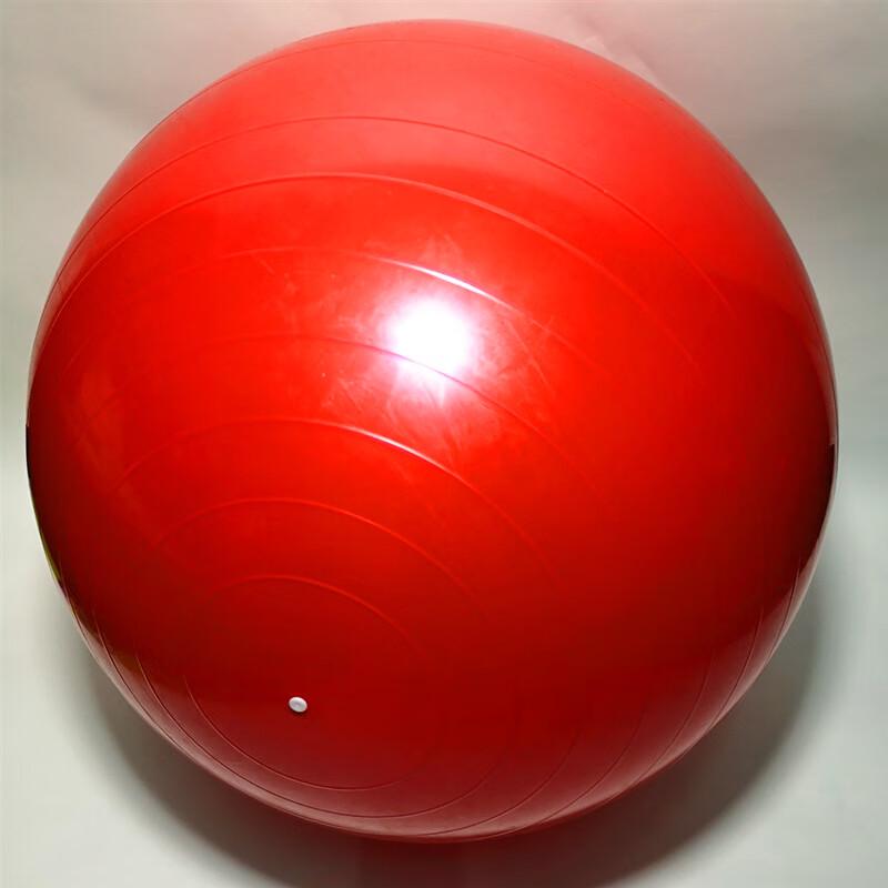WEZHO 95cm Anti-Burst PVC Yoga Fitness Ball