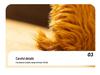Fluffy Highland Cow Plush Toy - Round, Long-Haired Bison Doll for Kids