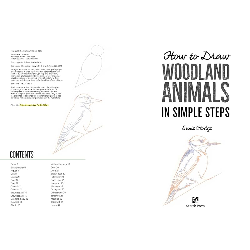How To Draw Woodland Animals In Simple Steps