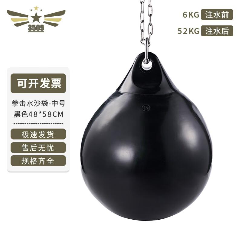 Water-Filled Punching Bag