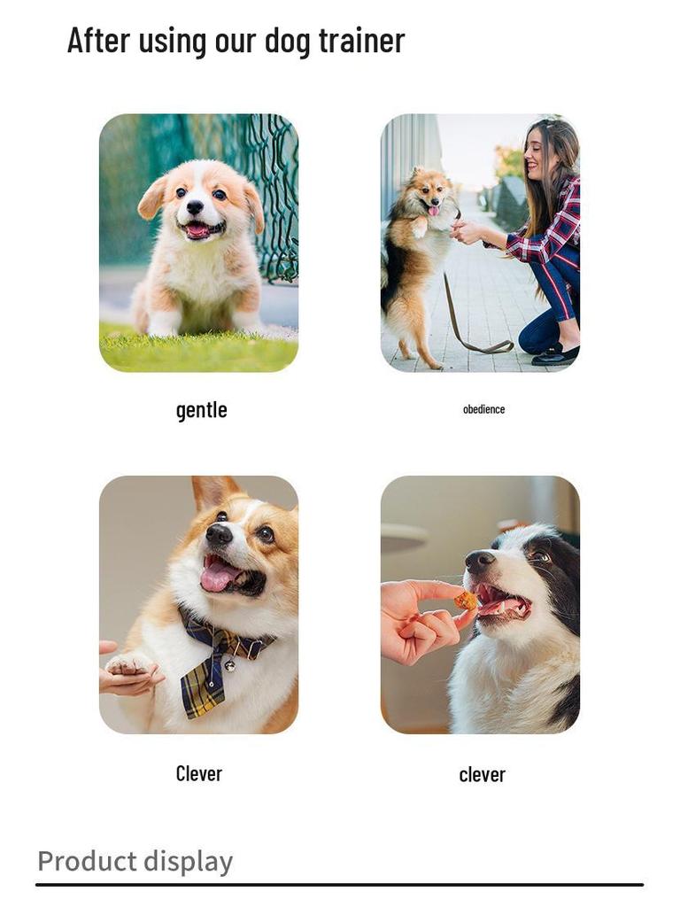 Waterproof Smart Remote Dog Trainer - Multi-Mode Bark Control for Two Dogs