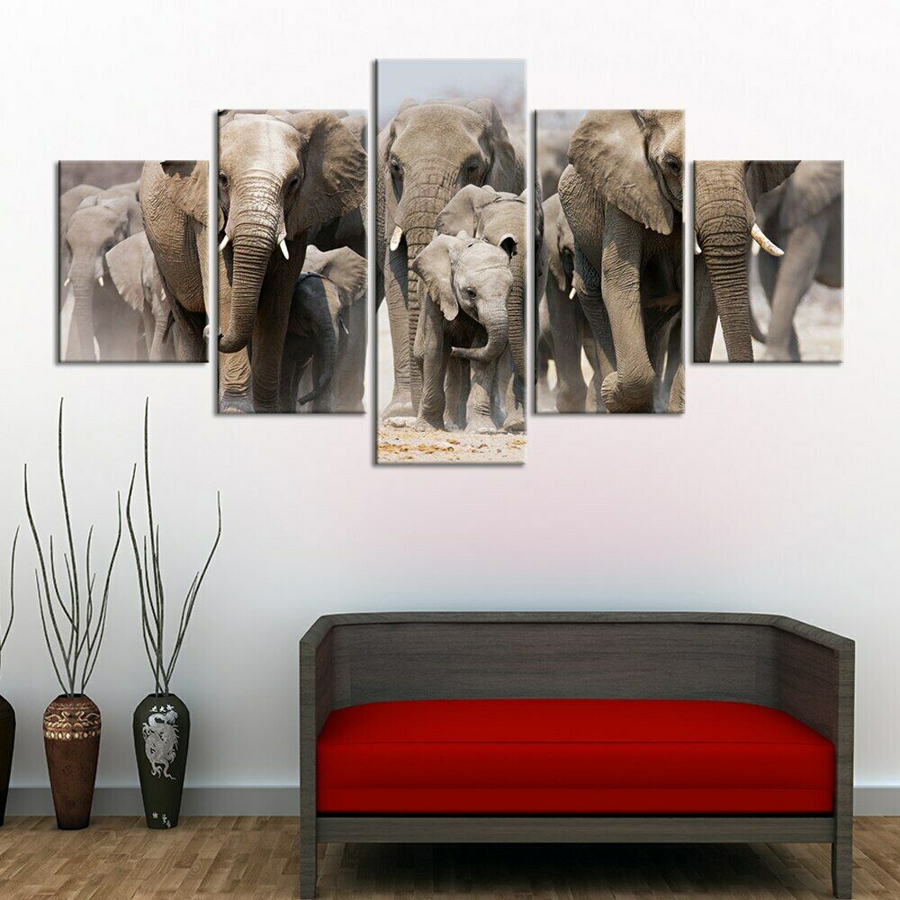 5 st Afrikansk grå elefant Canvas Bild Väggkonst Dekor Bilder HD Tryck 5 Panel Målningar Heminredning Ingen Ram Rumsdekor